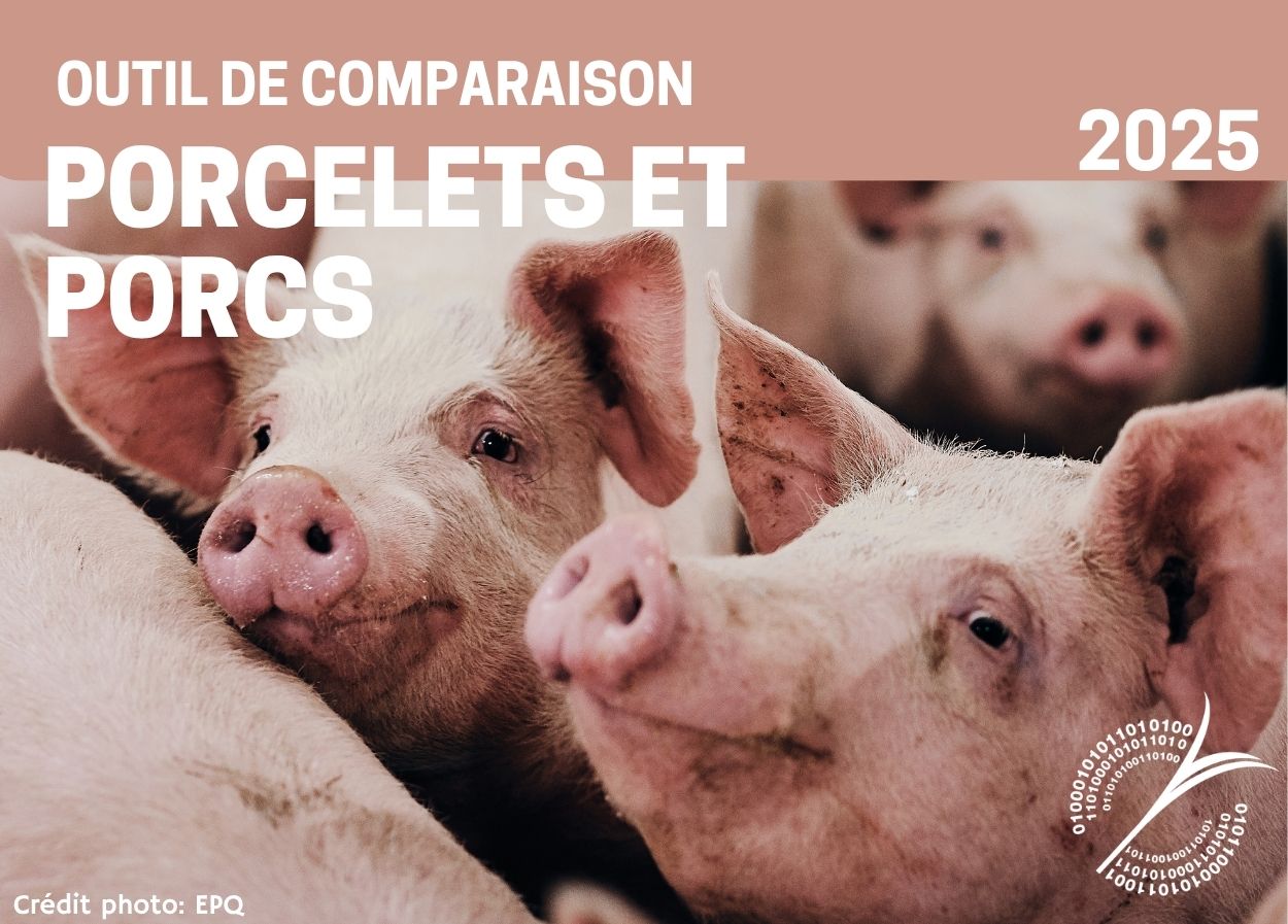 Outils : OUTIL DE COMPARAISON - PORCELETS ET PORCS - 2025